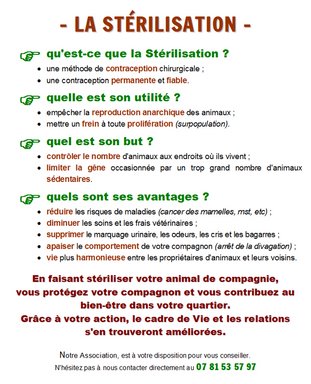 Cliquez pour agrandir l'image